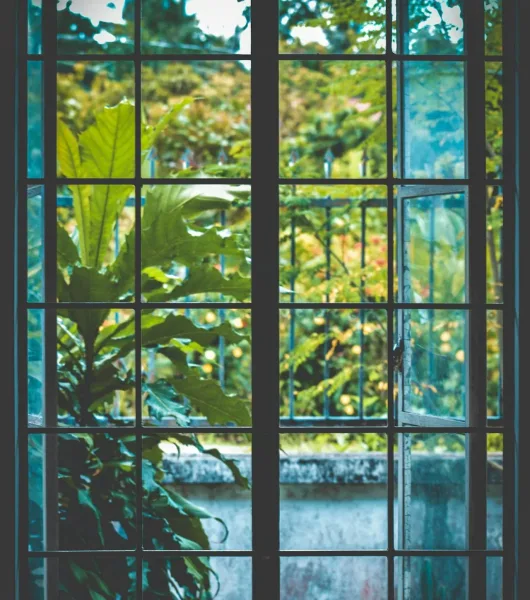 Ventana con vistas a la naturaleza
